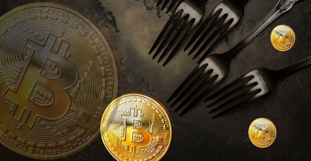 What Are Bitcoin Hard Forks and How Do They Differ From Soft Forks?