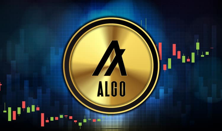 Algorand (ALGO) Outperforms the Crypto Market Monday: What's Next?