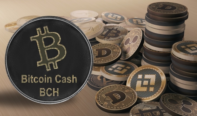 The role of Bitcoin Cash in the cryptocurrency ecosystem